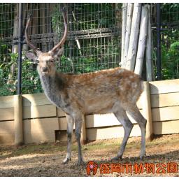 動物を探す 動物園と水族館