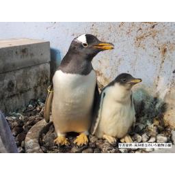 動物を探す 動物園と水族館