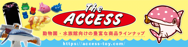 theaccess