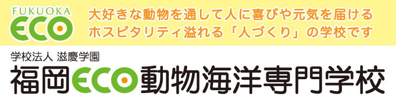 fukuokaeco