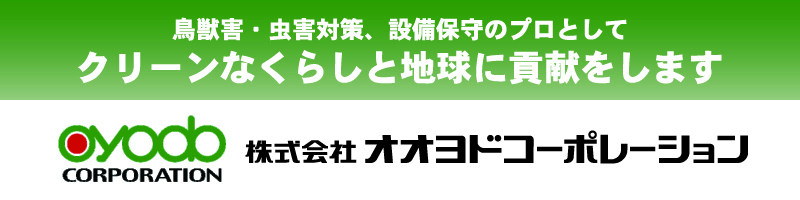 Oyodo-Ptex