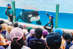 鴨川シーワールド　親子で育む生き物への興味「海の学び教室」開催