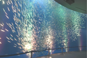 名古屋港水族館　クリスマス アクアリウムイベントを開催します