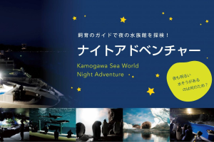 鴨川シーワールド　「春のナイトアドベンチャー」開催
