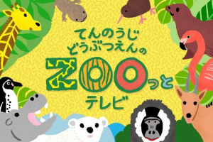 天王寺動物園　「ZOOっとテレビまつり」を2026年3月28日（土）に開催