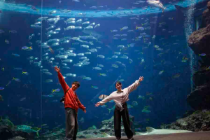 鴨川シーワールド　大人だけの時間を味わう『大人のチルタイムプラン』開催