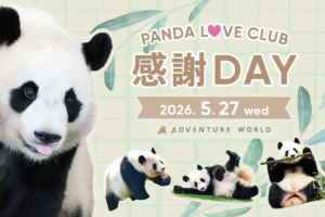 アドベンチャーワールド　パーク貸切イベント『PANDA LOVE CLUB 感謝DAY』開催決定！