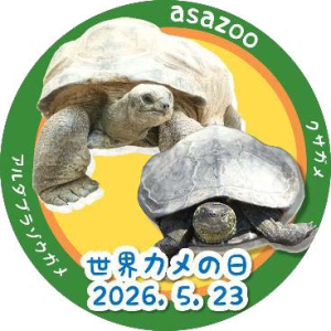 広島市安佐動物公園　世界カメの日イベントを開催！