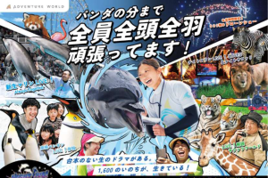 アドベンチャーワールド　「夏の特別イベント」が一斉スタート