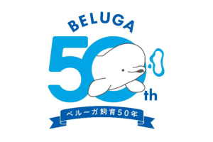 鴨川シーワールド「ベルーガ50th Anniversary」企画　特別上映