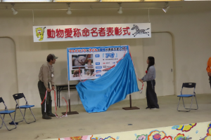 【安佐動物公園】チーター愛称命名式