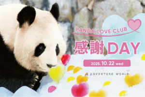 アドベンチャーワールド 『PANDA LOVE CLUB 感謝DAY』開催！