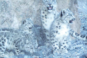 【JAZA後援事業】第12回　かみね・おもしろZOOサロンの開催について